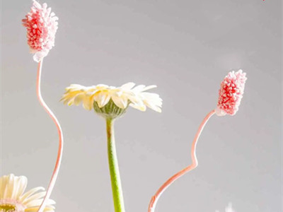 九公山长城纪念林：雪落九公冬景成诗,冬至祭亲臻礼寄情