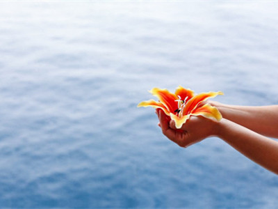 抓紧2025年的最后一天：北京一对一骨灰海撒申请即将截止