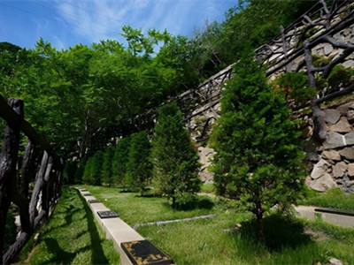 北京树葬价格对比：九公山纪念林与中华永久陵园哪家更实惠？