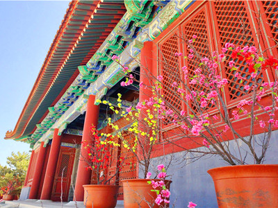 寻觅京郊高性价比树葬：为何怀来中华永久陵园值得关注？