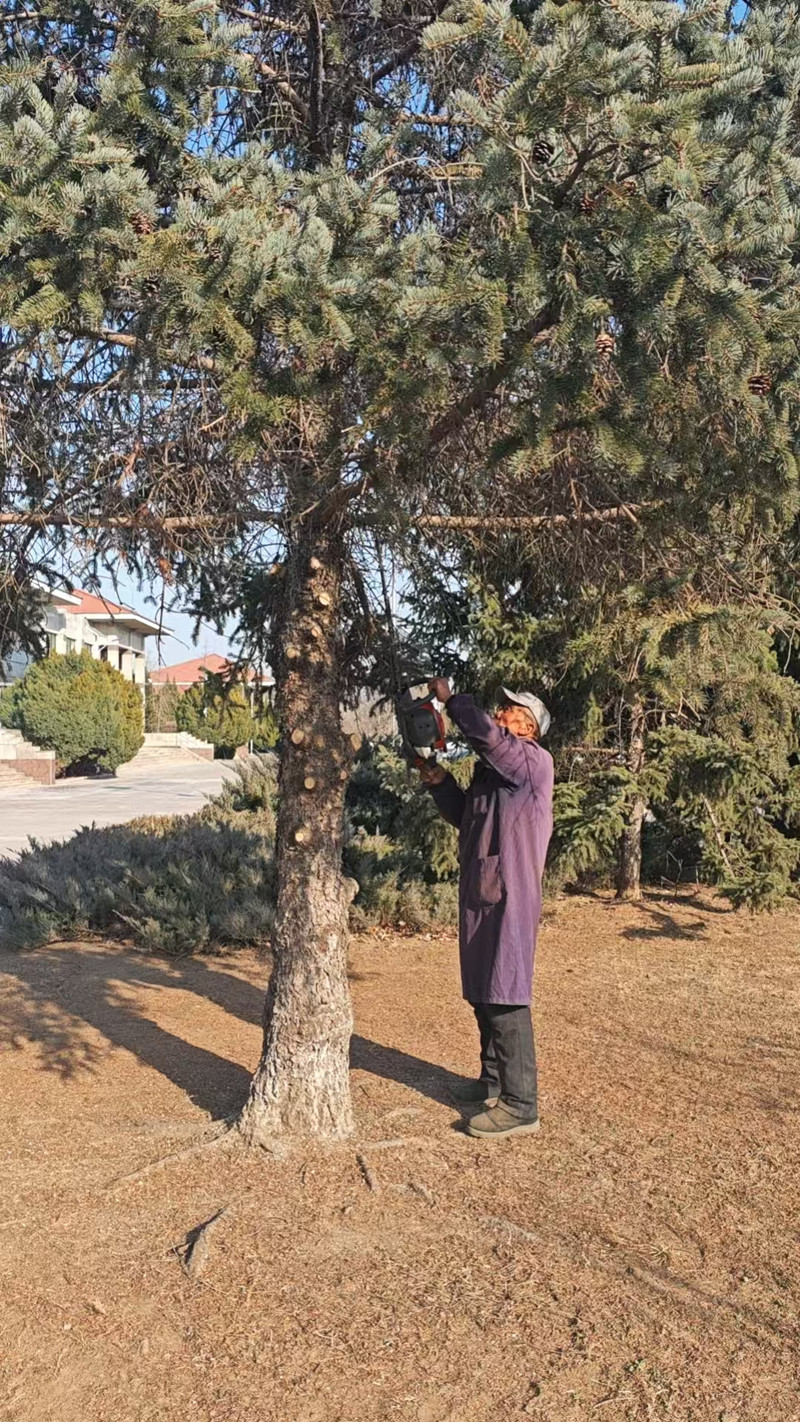 随剪随清 随剪随清