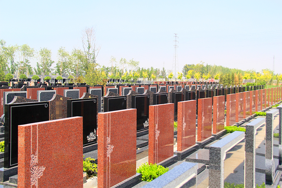 墓区环境 墓区环境