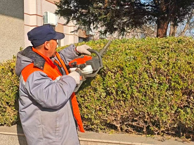 北京市潮白陵园开展树枝修剪美化工作