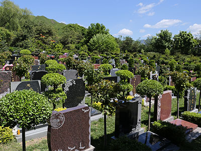 生命文化讲堂:墓碑上的梅兰竹菊有什么寓意？