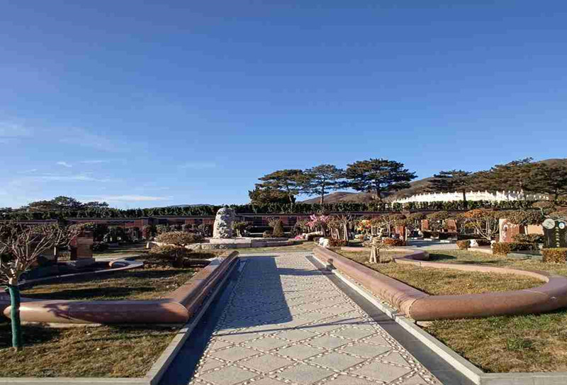 京韵园树葬 京韵园树葬