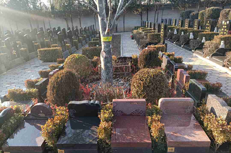 明月园树葬 明月园树葬