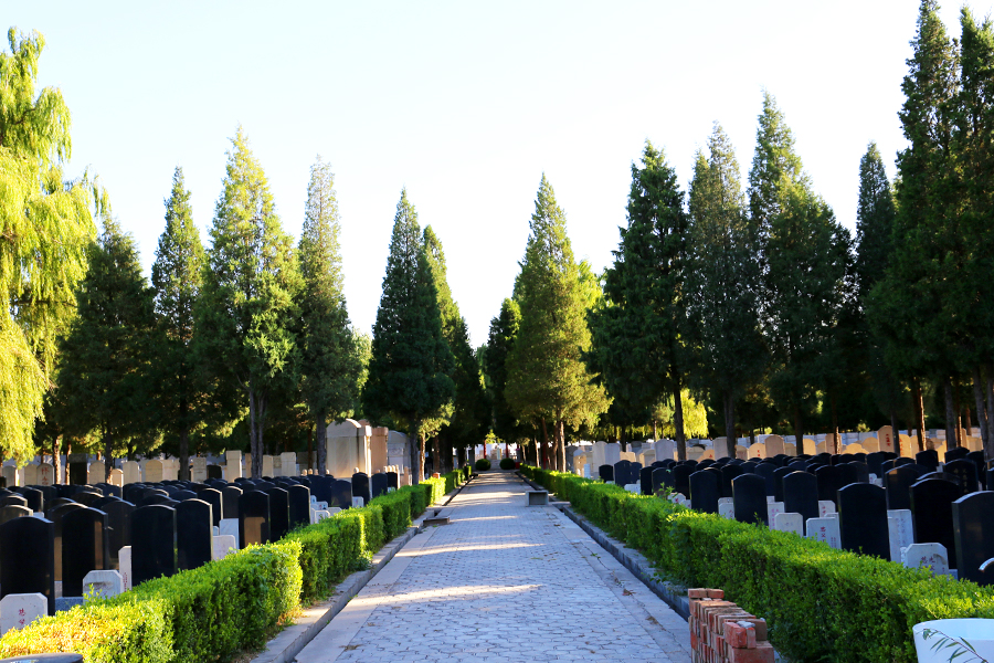 墓区环境