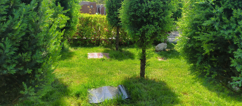 灵山宝塔树葬区