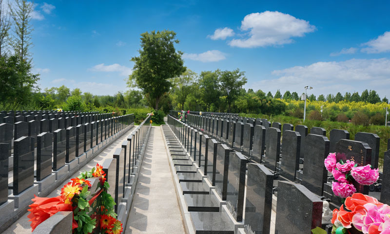 售价仅18800元双穴立碑实拍