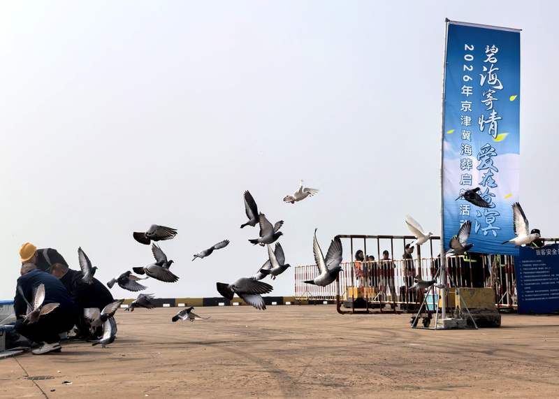 祈福鸽飞上蓝天