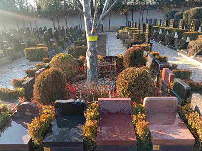 北京天寿陵园树葬价格大全：京韵园1万起、归园树葬14.1万起、明月园树葬15万起