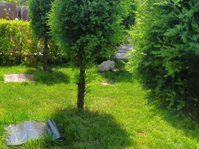 北京通州周边不错树葬墓地有哪些地方推荐？