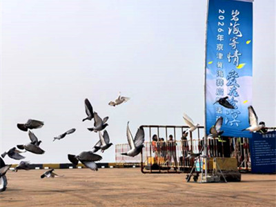 2026京津冀骨灰海葬天津渤海湾启航,已安葬近4万份骨灰