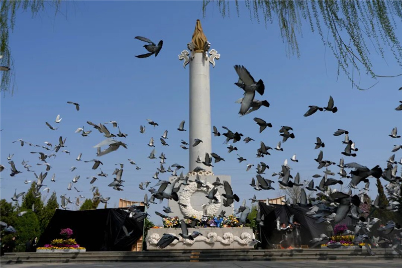 祈福鸽展翅高飞