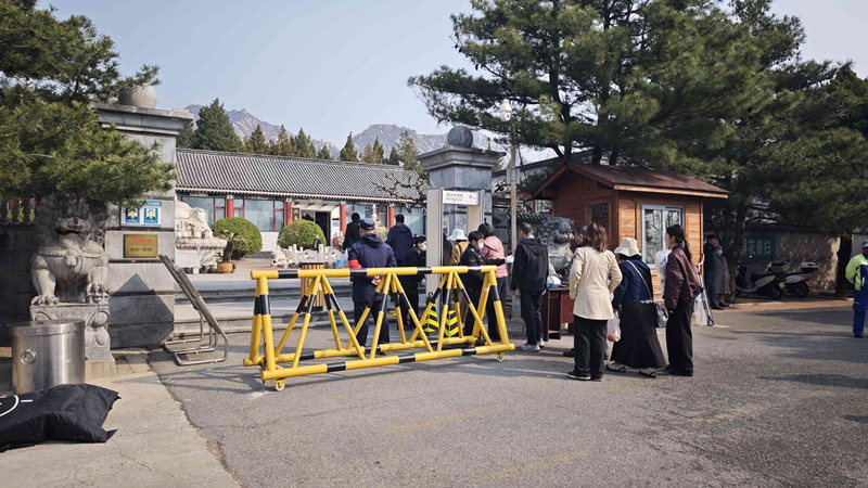 清明祭扫 清明祭扫