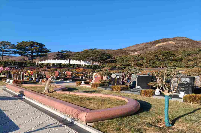 可降解树葬区域