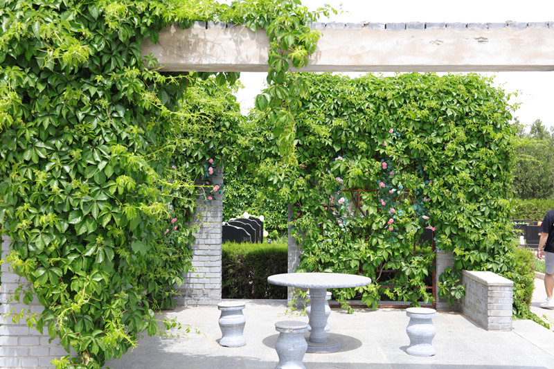 中华园绿化环境