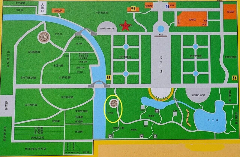 平面图