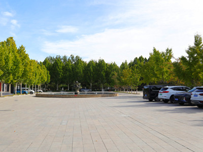 自驾祭扫优选地——揭秘灵山宝塔陵园停车的核心优势