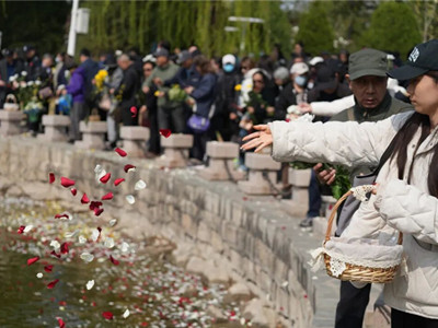 2026年北京市生态葬清明公祭仪式在长青生命纪念园骨灰林举行
