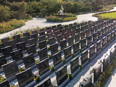 价格5.88万｜万桐园凤栖园W92墓地：灰色花岗岩的庄重守护