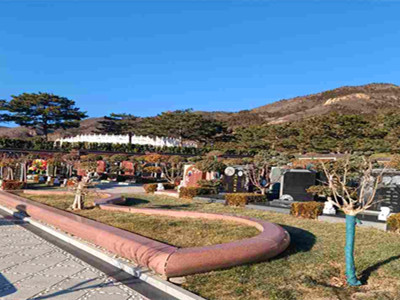 北京昌平墓地中,皇家风范天寿陵园降解式树葬价格不到一万元