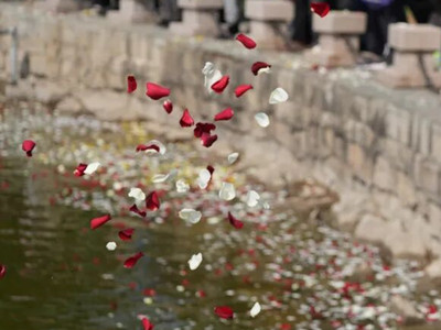 祭扫“绿”起来,收费“透”明白——我国进一步强化殡葬公益属性与生态导向