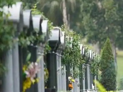 5月起这个新规将试行：防范“天价”收费,殡葬领域明码标价