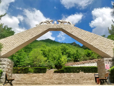 北京怀柔墓地树葬墓碑在哪？树葬怎么样好不好？