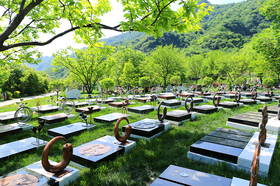九公山绿化环境 九公山绿化环境