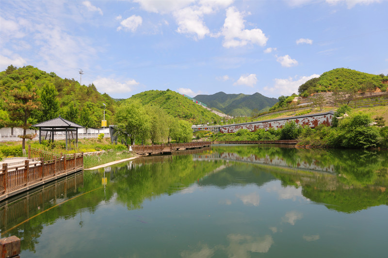 陵园风景