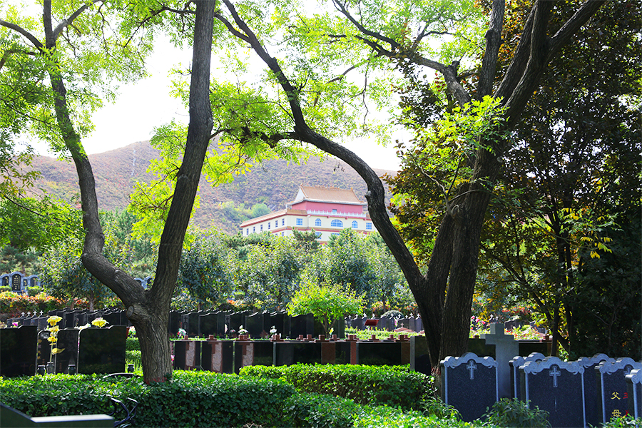 陵园墓区 陵园墓区