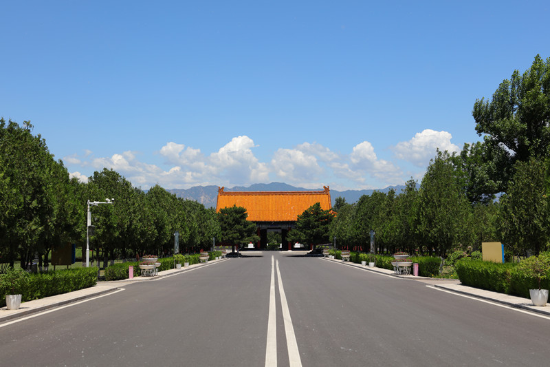 道路风景 道路风景