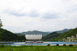 地涌金莲