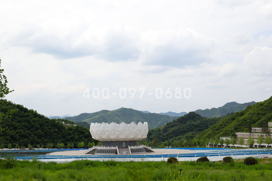地涌金莲