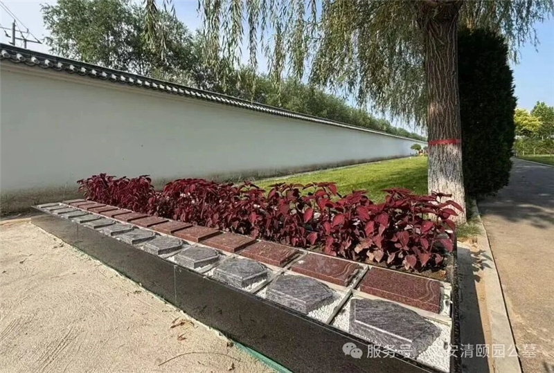 新型节地葬 新型节地葬