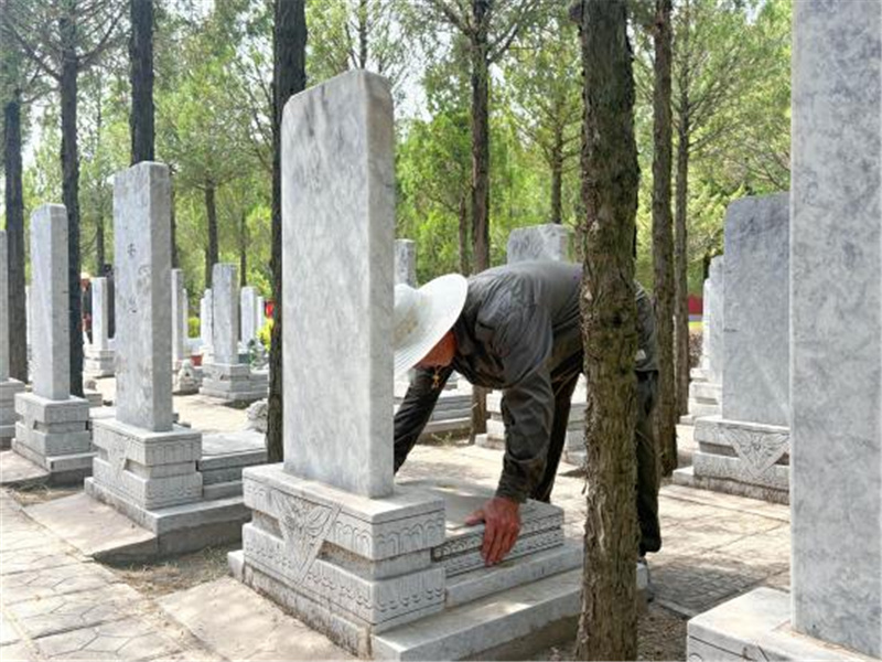 墓位检查