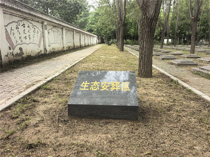 生态安葬 生态安葬