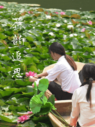 追思 追思