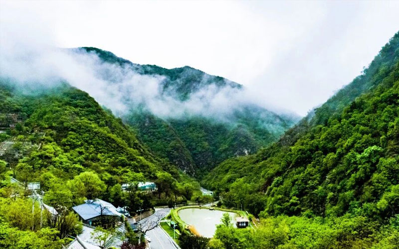 九公山陵园风景 九公山陵园风景