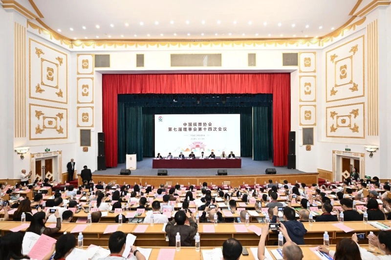 会议中 会议中