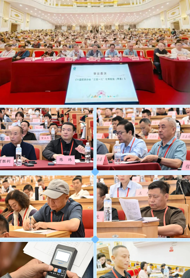 会议现场 会议现场