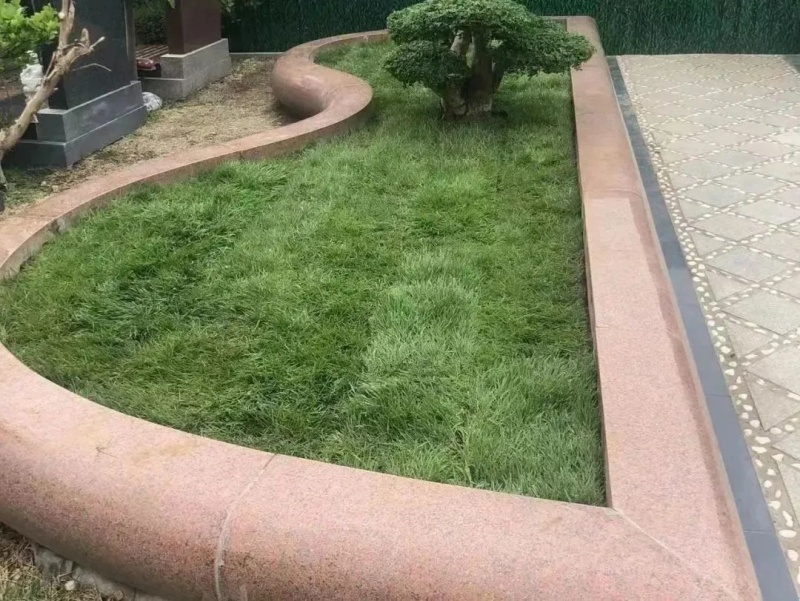 树葬 树葬