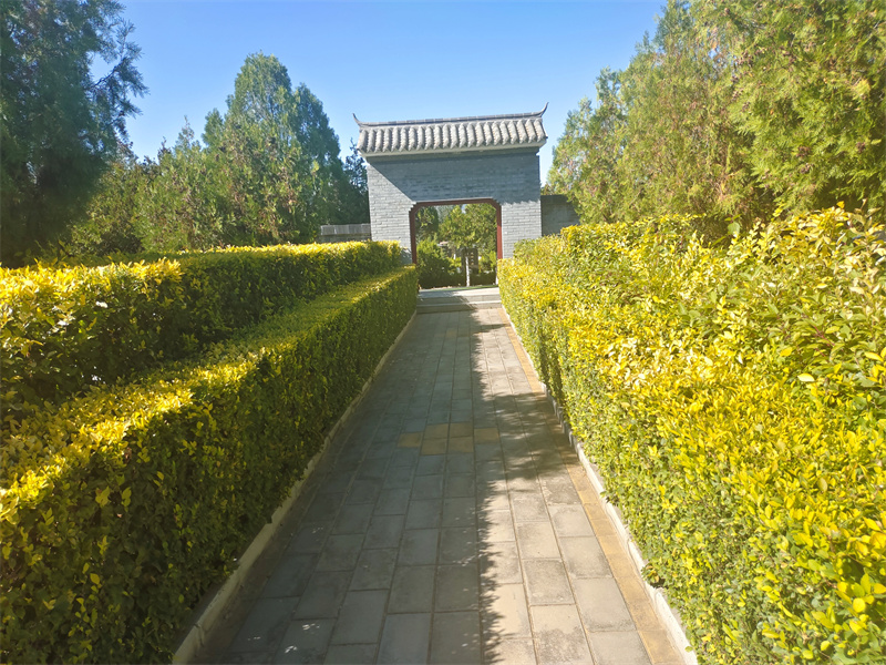 平坦园区环境 平坦园区环境
